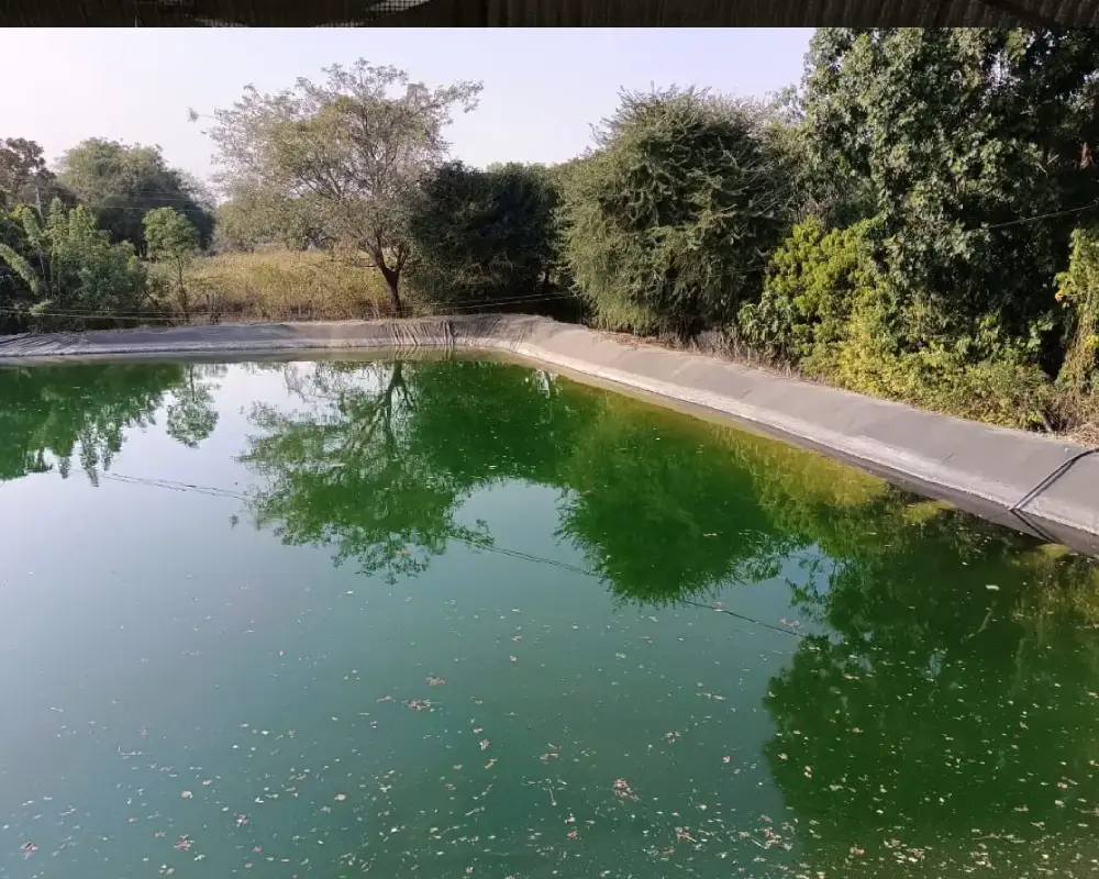 शेततळे